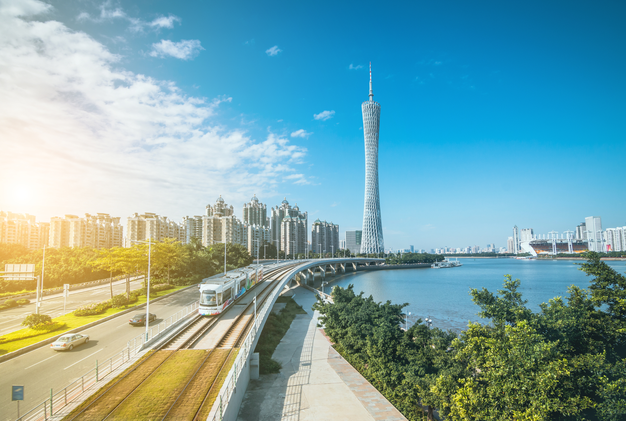 Dental South China