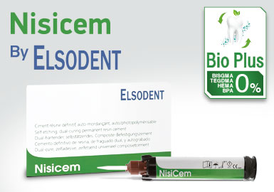 Nisicem