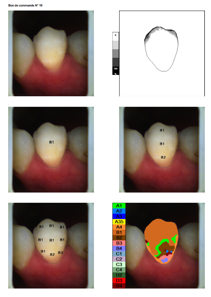 Dental News Daily aesthetic dentistry The contribution of the