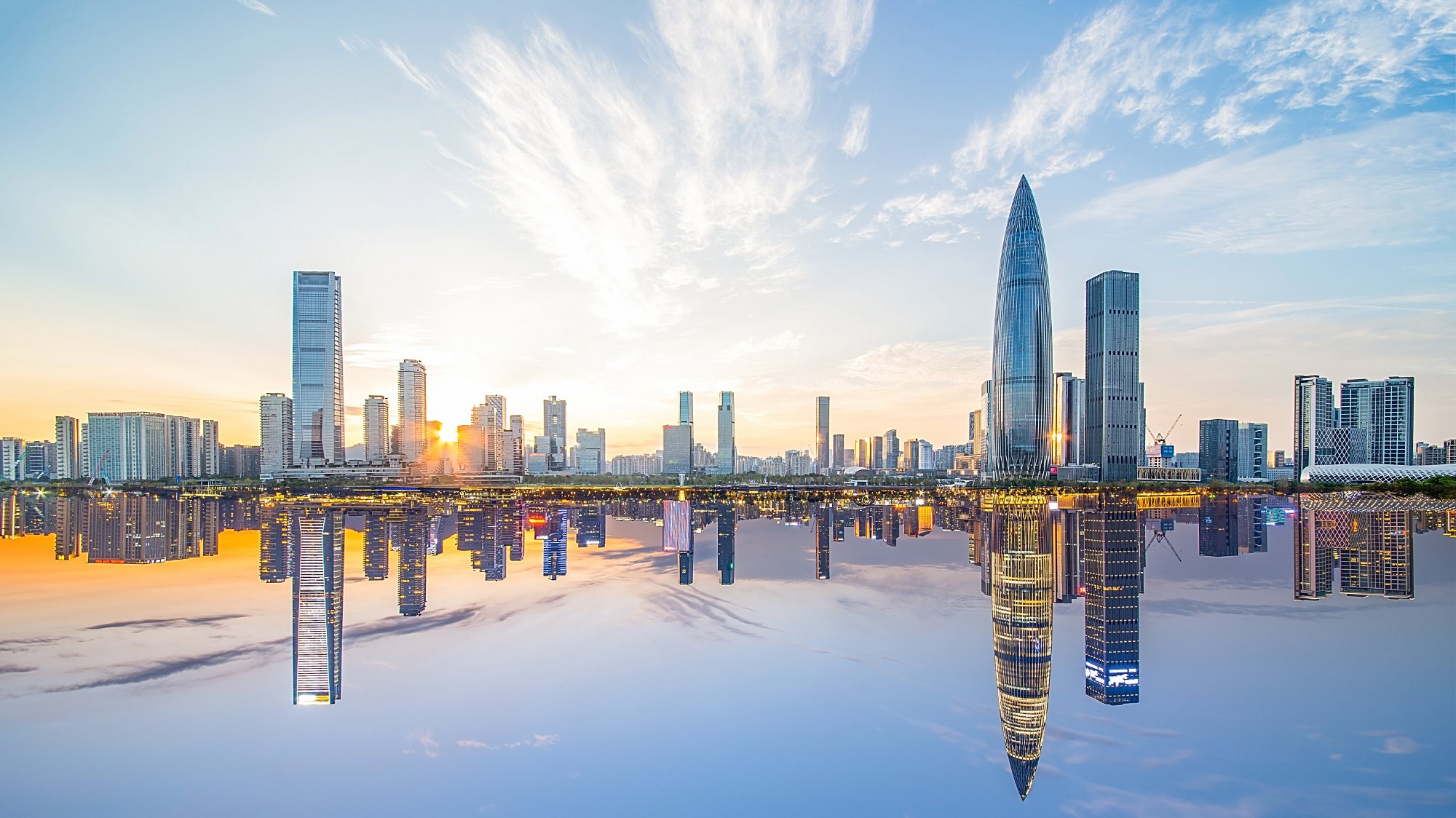 World Dental Forum (WDF) 2019